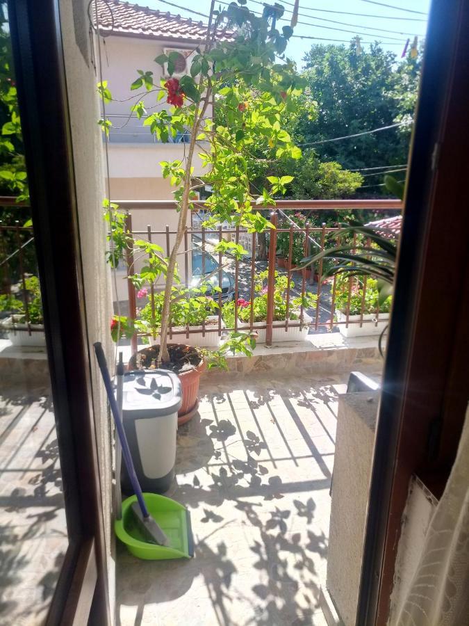 סוזופול Farlalievi Guest House מראה חיצוני תמונה